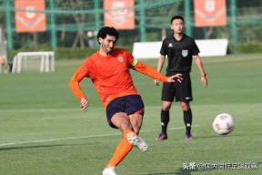 乐鱼-山东泰山最新消息